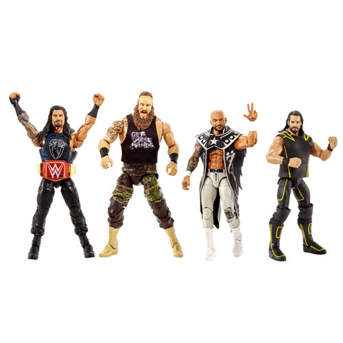 wwe figure case